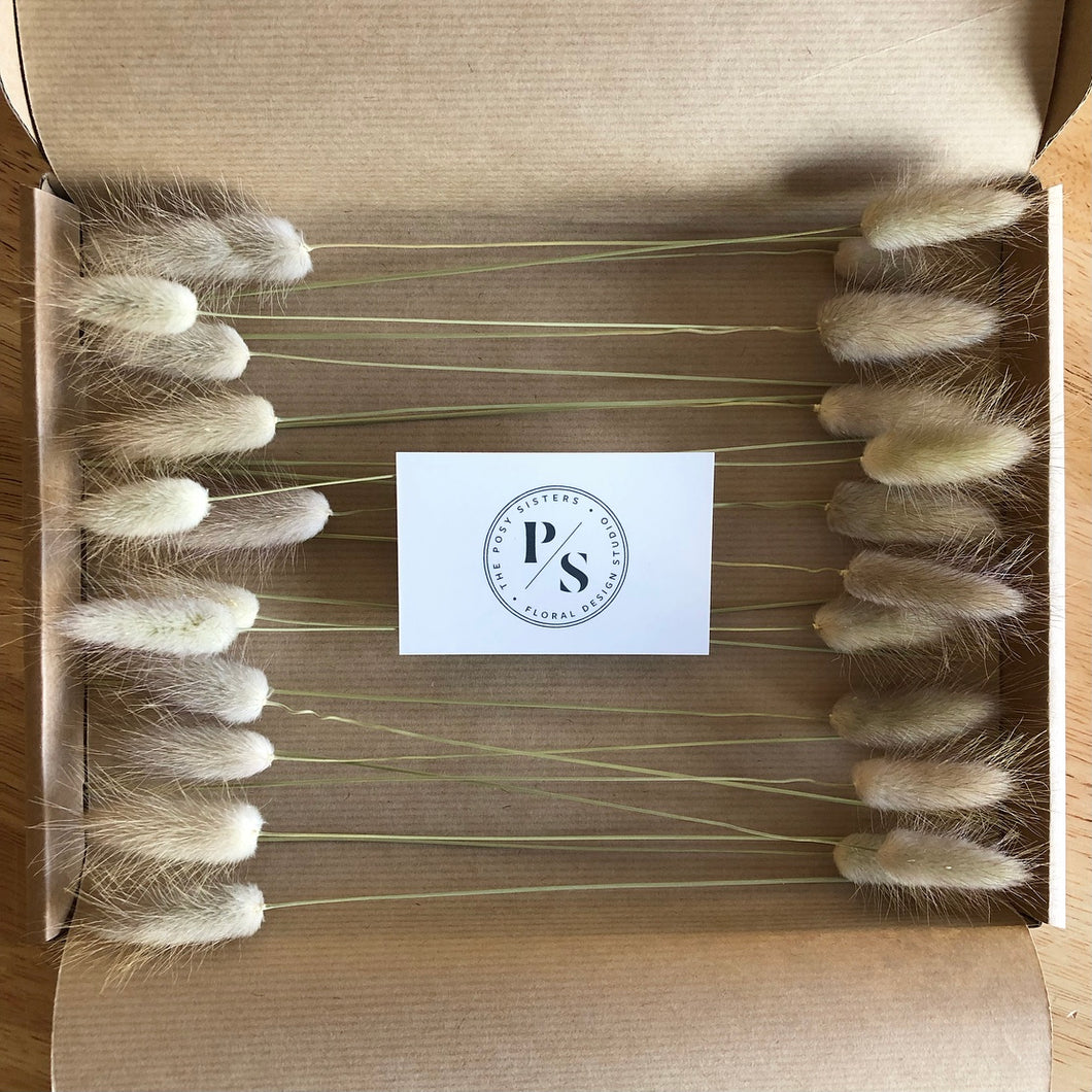 Letterbox Bunny Tails // Natural