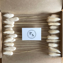 Load image into Gallery viewer, Letterbox Bunny Tails // Winter White
