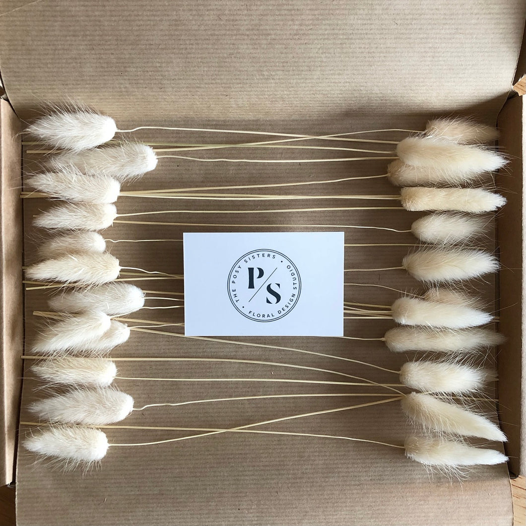 Letterbox Bunny Tails // Winter White